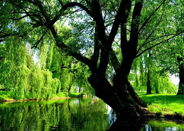 Ubytování v soukromí Relax